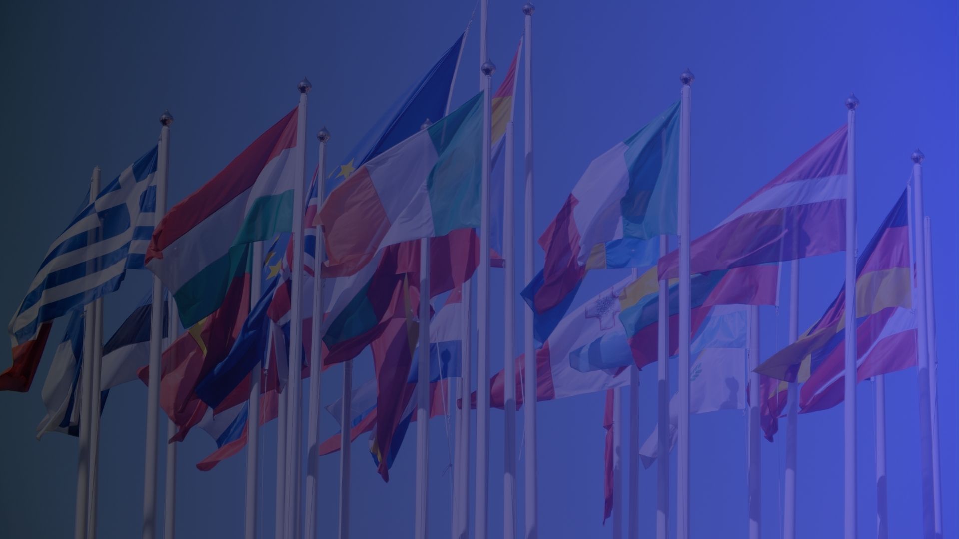 Asociación MEP España